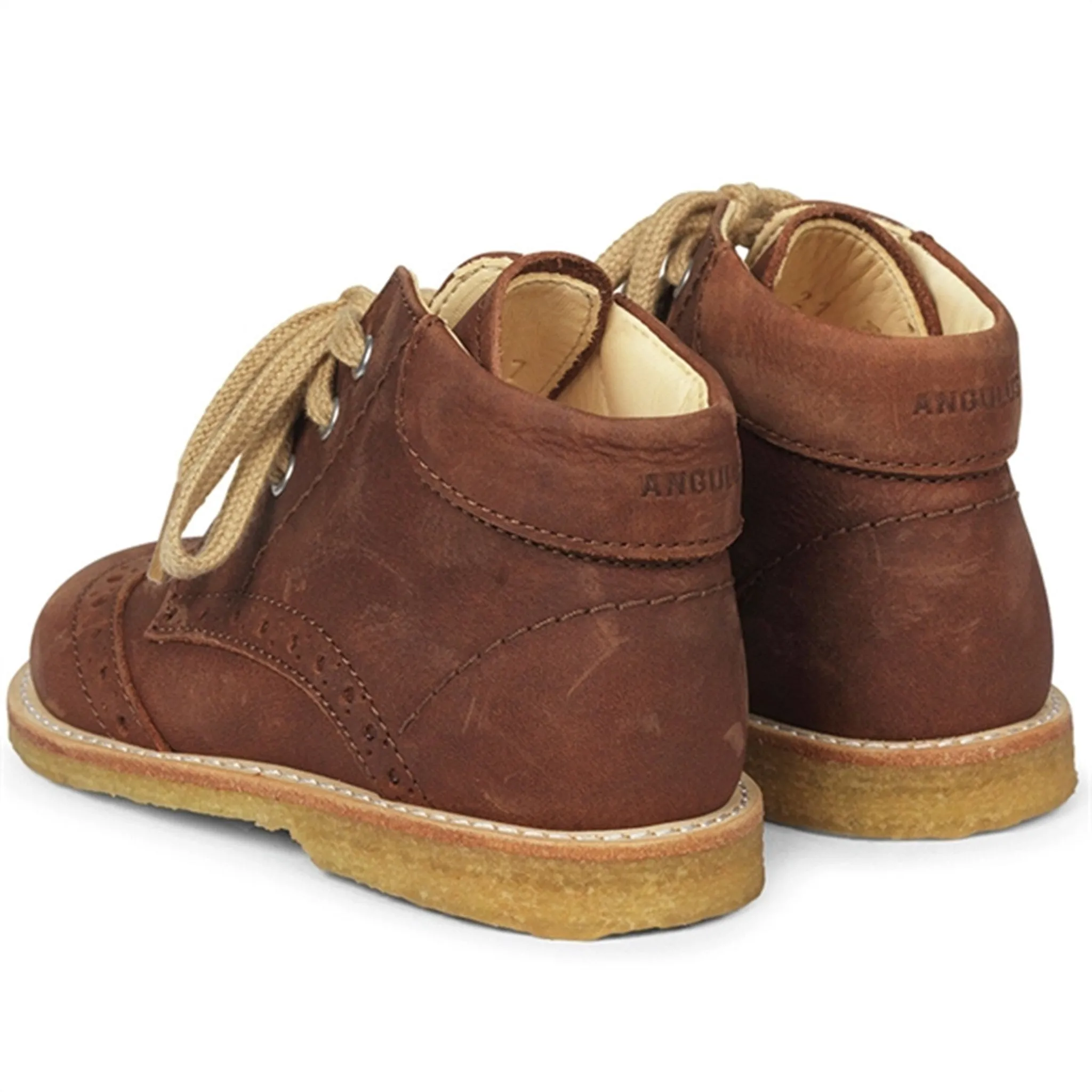 Angulus Beginner Shoes w Lace Cognac