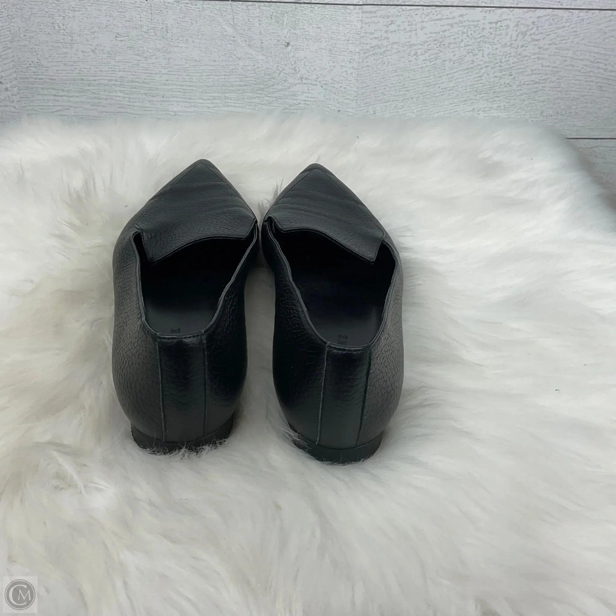 Shoes Flats By Everlane In Black, Size: 11