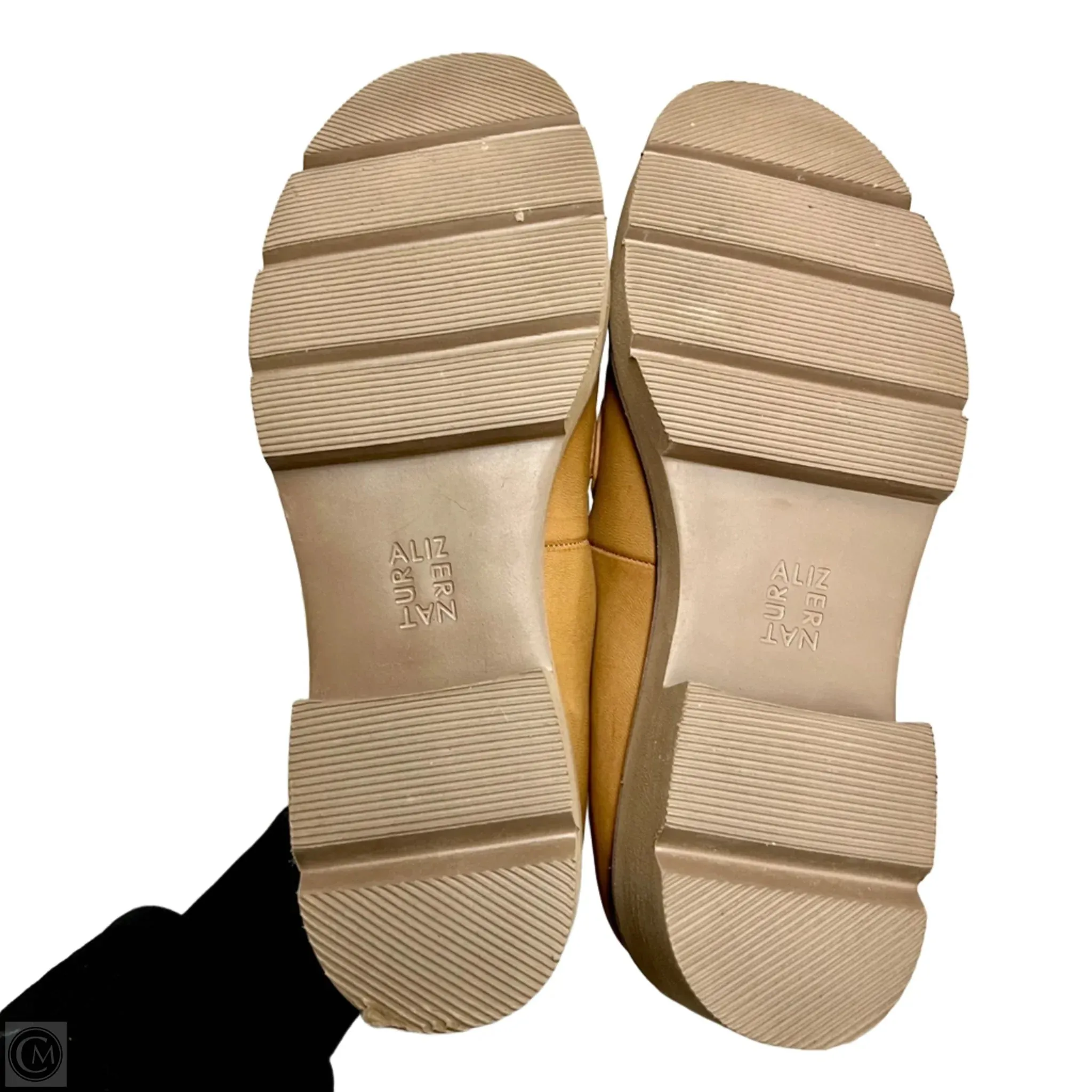 Shoes Heels Block By Naturalizer In Brown, Size: 9
